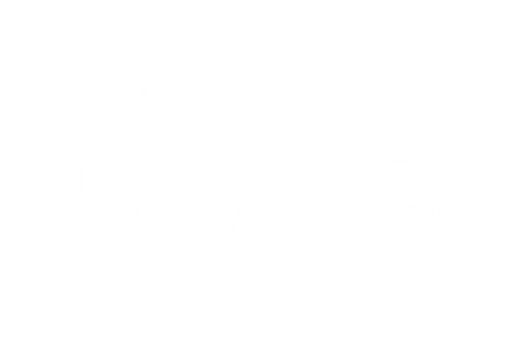 transparent logo
